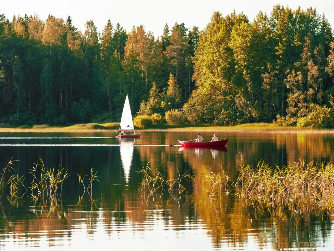 A small sailboat on a calm lake at golden hour, framed by pine forest